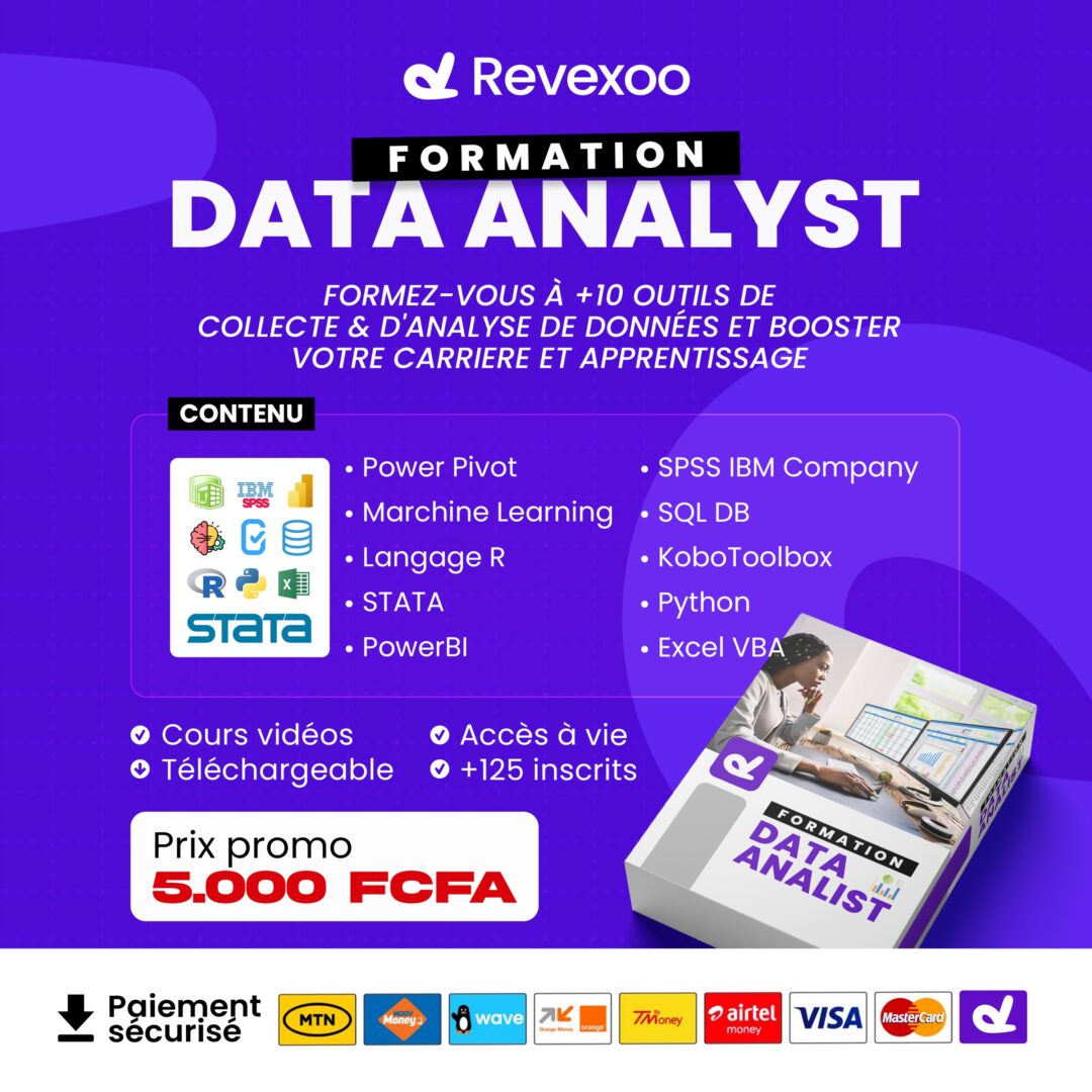 Formation Data Analyst (Analyse de Données) + Collecte de Données : Devenez Expert ! – Image 2